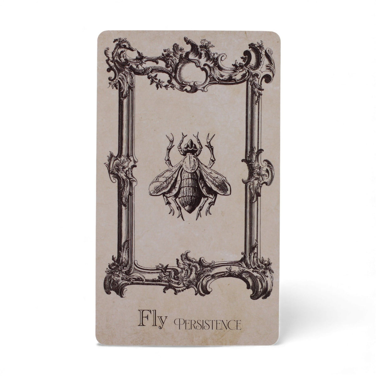 Las cartas oráculo del libro de hechizos - mazo de brujería